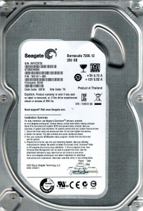 Seagate　ＳＴ250DM000　　